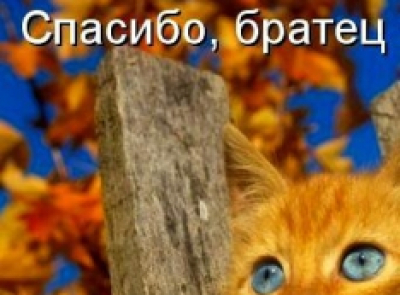 Сергей Панков спас мэра Евгения Писцова и других чиновников от уголовного преследования за групповое мошенничество?