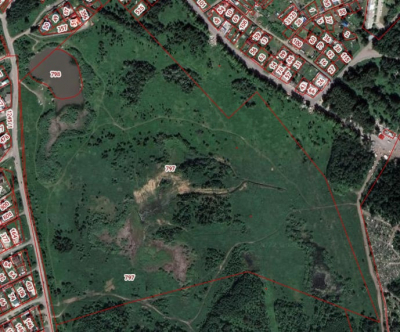 Телеграм Томска за неделю: прокуратура vs ТДСК, уход Пронькина и отмена НГ